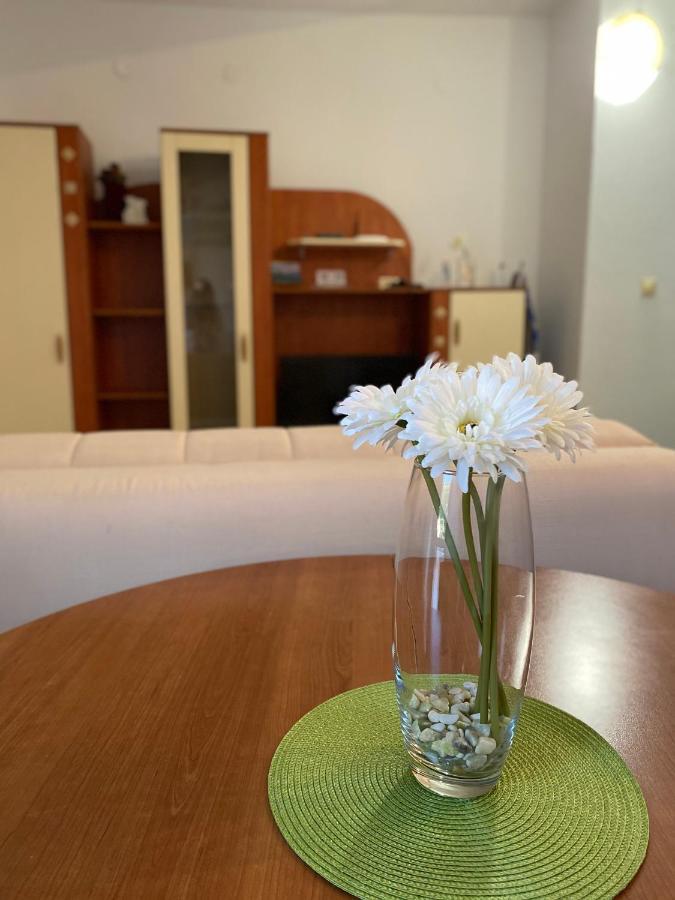 Apartments Mandarina Garden Petrovac Ngoại thất bức ảnh